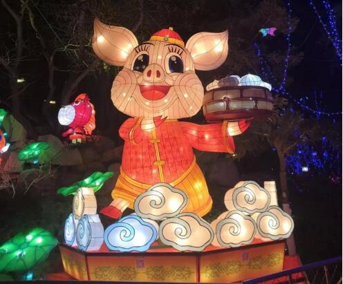 【新春走基层】记者探访趵突泉公园 赏花灯过大年!