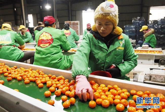 新华网评：带着美好的祈愿 迈入奋斗的春天