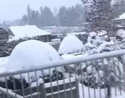 和谁在一起？柏芝北京过情人节 2月14情人节 网友:你知道它的由来吗?