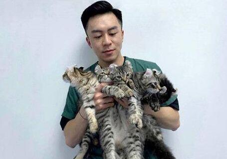 任容萱拒绝陈澧霆是什么原因？陈澧霆个人资料曝光