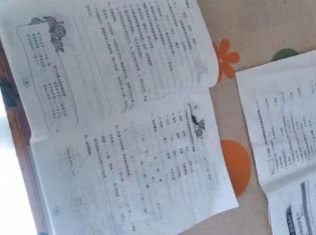 年度最惨小学生 本尊回应了到底说了什么？