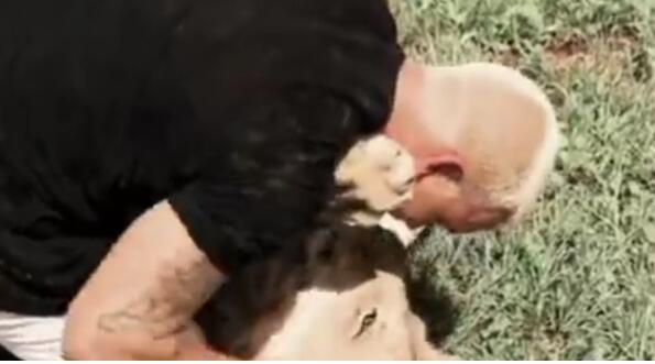 萌哭你！南非狮子扑男子 视频中，狮子看到他回来高兴地像个孩子