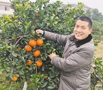 刘家奇代表—— 建强党支部 发动“火车头”（新思想基层结硕果·我当代表这一年⑧）