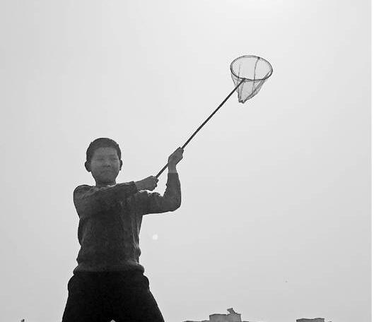 晒娃家长目瞪口呆！杭州小学晒太阳什么情况？“晒太阳”作业的意义？