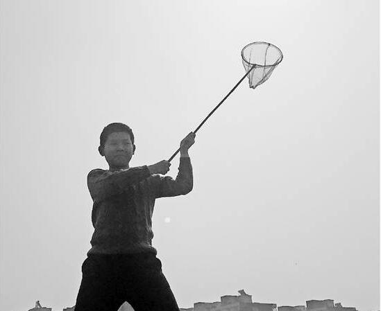 长霉了？杭州小学晒太阳 为什么要布置这样一份“晒太阳”的作业?