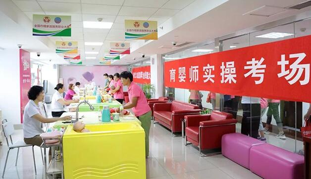 探索家政业“红黑榜”！全国人大代表卓长立建议获人社部回复