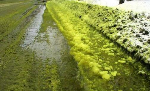 惊呆了！俄罗斯 绿色雪具体什么情况？目击者还原背后详情始末 