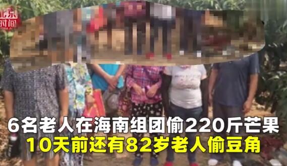 老人组团偷芒果 老人盗窃怎么处罚?？