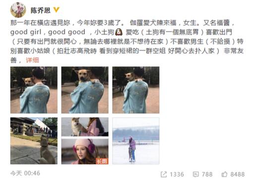 真正的撒狗粮！陈乔恩为爱狗庆生 网友：球恩 你还缺狗吗