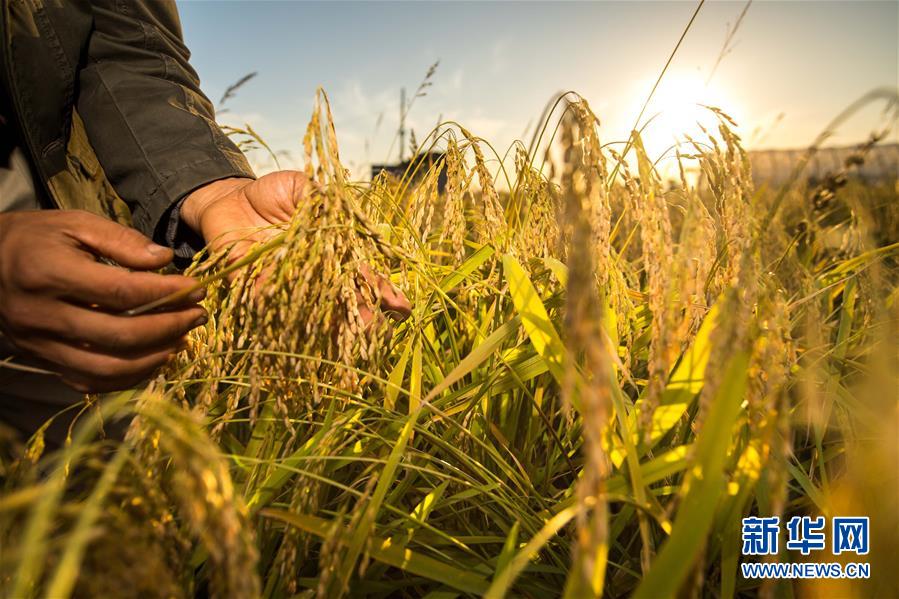 会当水击三千里——全国两会前夕看中国信心