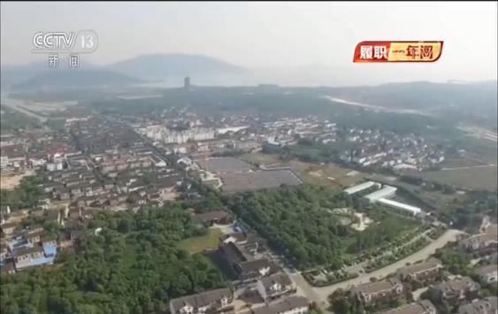 履职一年间·全国政协委员杨玉成：推动建设高质量特色小镇