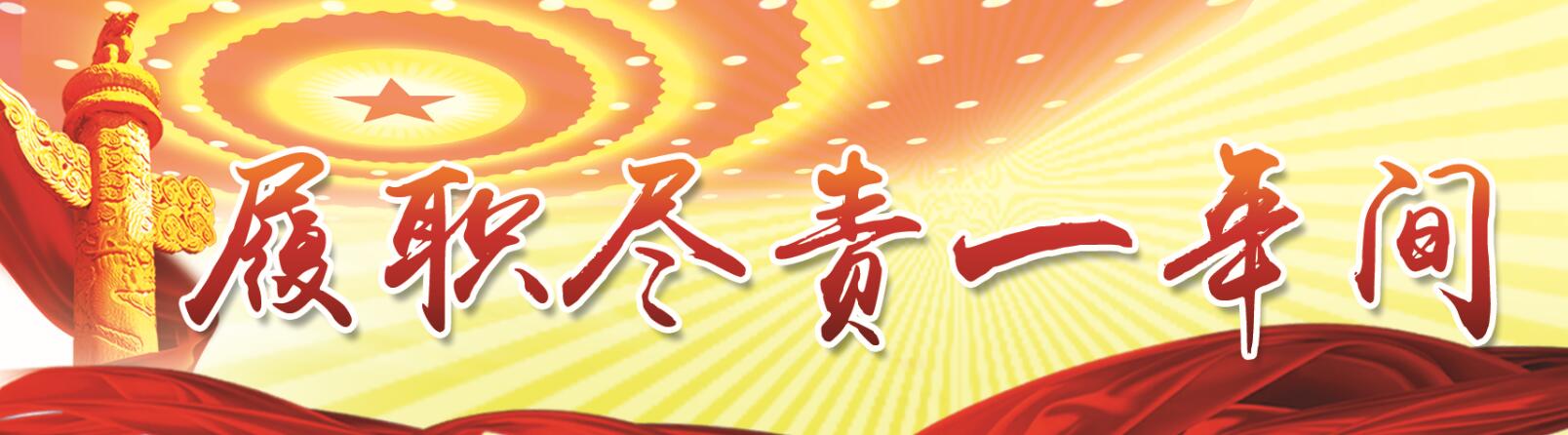 履职一年间