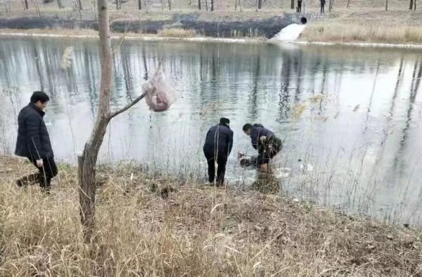 [温暖泉城]寒风里，他们救起落水女子