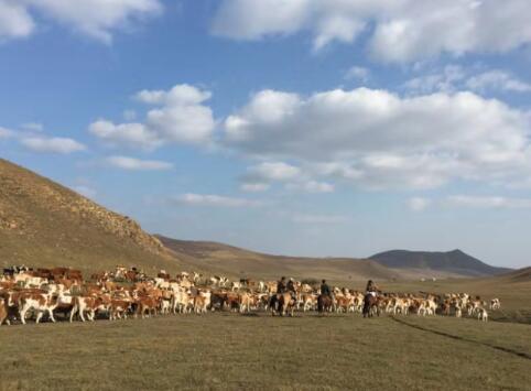 时政新闻眼丨习近平在内蒙古代表团说，抓这件事要“不动摇不松劲不开口子”