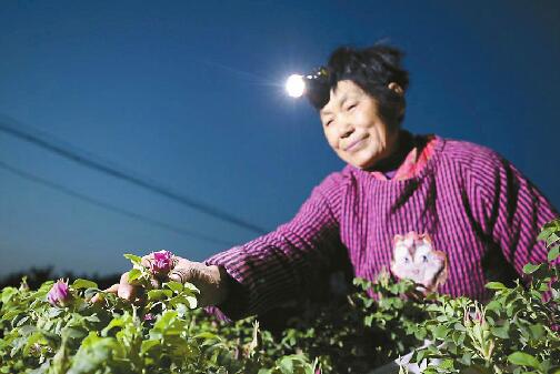 时隔一年，乡村振兴交出“济南答卷”