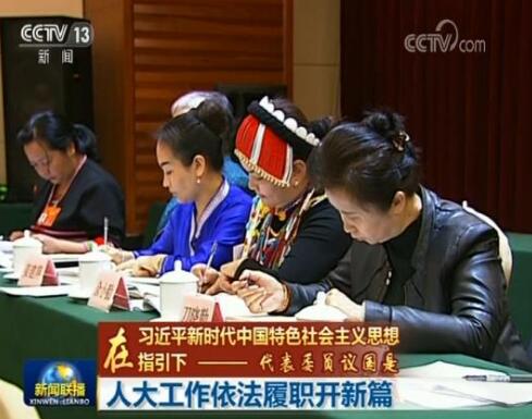 【在习近平新时代中国特色社会主义思想指引下——代表委员议国是】人大工作依法履职开新篇