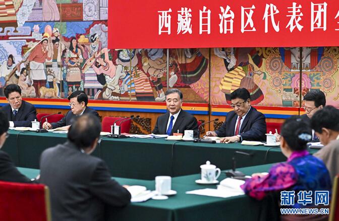 习近平栗战书汪洋王沪宁赵乐际分别参加全国人大会议一些代表团审议