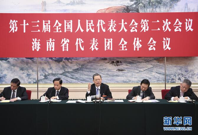 习近平栗战书汪洋王沪宁赵乐际分别参加全国人大会议一些代表团审议