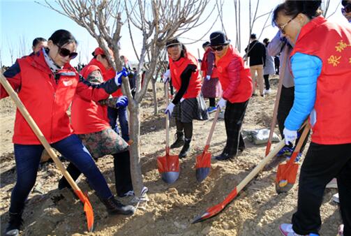 华山重装开放后首个植树节!济报集团携手城市建设集团共建读者林