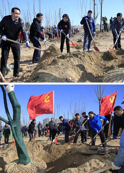 华山重装开放后首个植树节!济报集团携手城市建设集团共建读者林