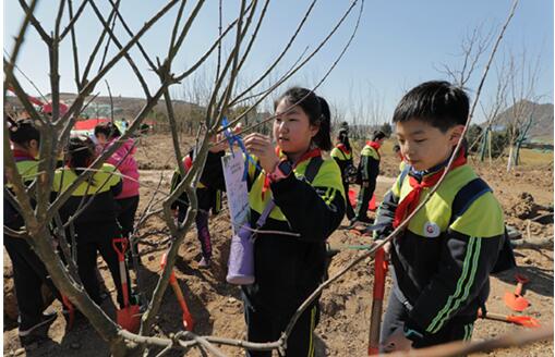 华山重装开放后首个植树节!济报集团携手城市建设集团共建读者林