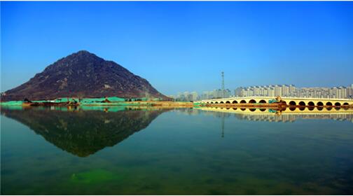 华山重装开放后首个植树节!济报集团携手城市建设集团共建读者林