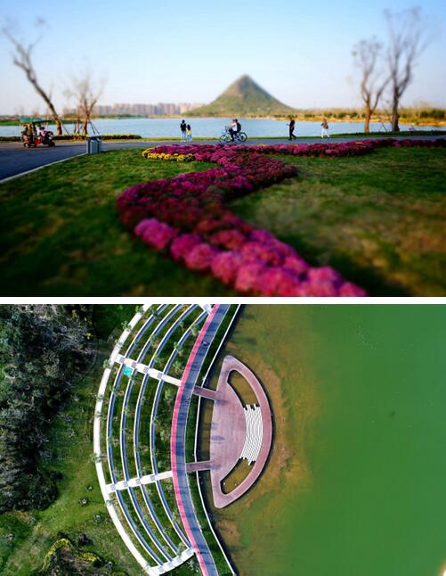 华山重装开放后首个植树节!济报集团携手城市建设集团共建读者林