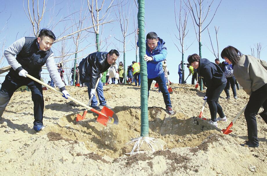 【济南日报】华山重装开放后首个植树节 济报集团携手城市建设集团共建读者林