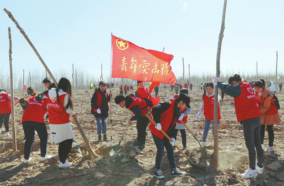 近千名机关干部和市民义务植树 用绿色扮靓槐荫