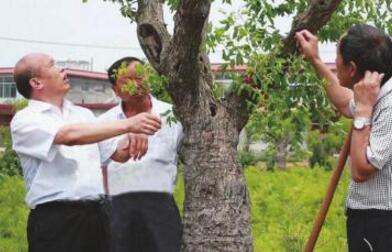 出得了国 讲得了课 这样的村支书才是乡村振兴领头雁