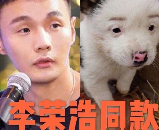 李荣浩同款狗狗 这到底是个什么梗？