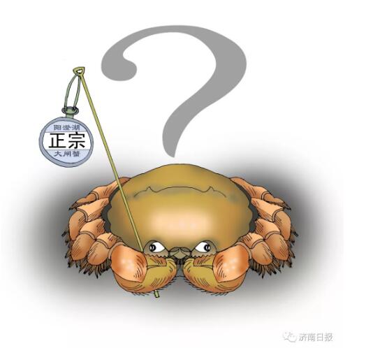 3·15漫笔丨维权,365天