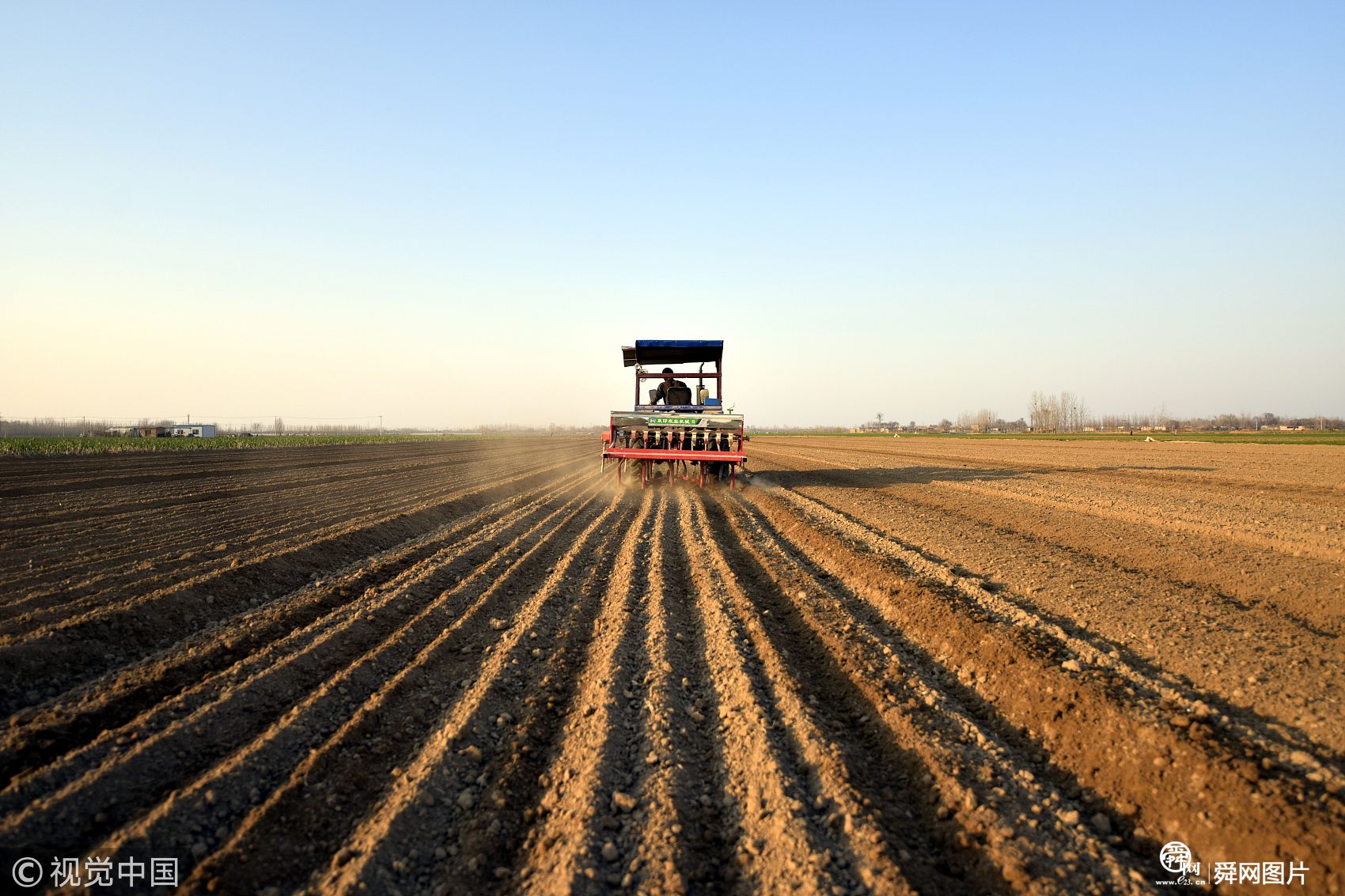 山东聊城：春来甘蓝栽种忙 