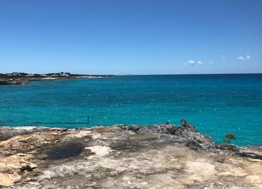 惊呆了李咏女儿晒泳装照具体是什么情况？这到底是个什么梗？