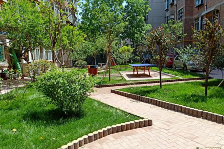 [走在前列] 种绿植绿擦亮城市生态底色