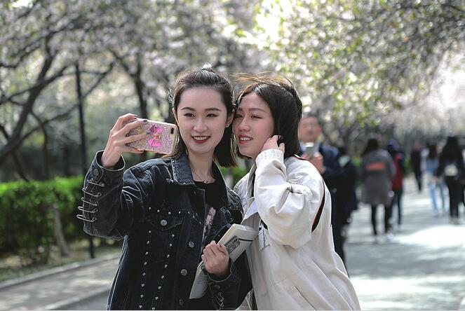 樱李齐绽春光莫负