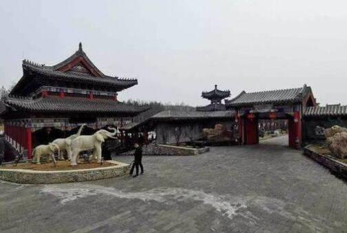 惊呆了！曹园举报人 这到底是个什么梗？