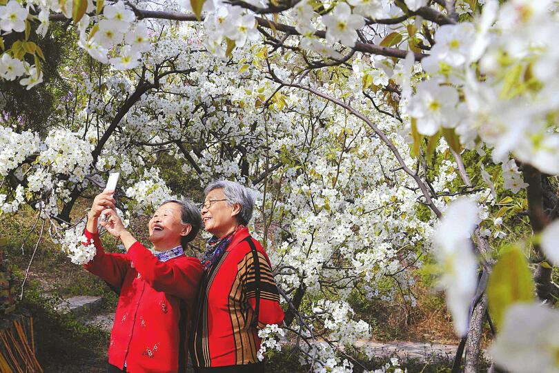 专家和业内人士谈“四种”理念 打造宜居宜业宜游的美好城市