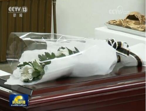 第六批在韩中国人民志愿军烈士遗骸装殓仪式举行