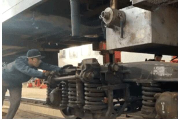 看完复兴号做俯卧撑，它们竟然组团来参赛了