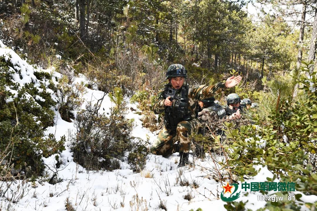 你在艳阳里享受春天，我在白雪中守护着你