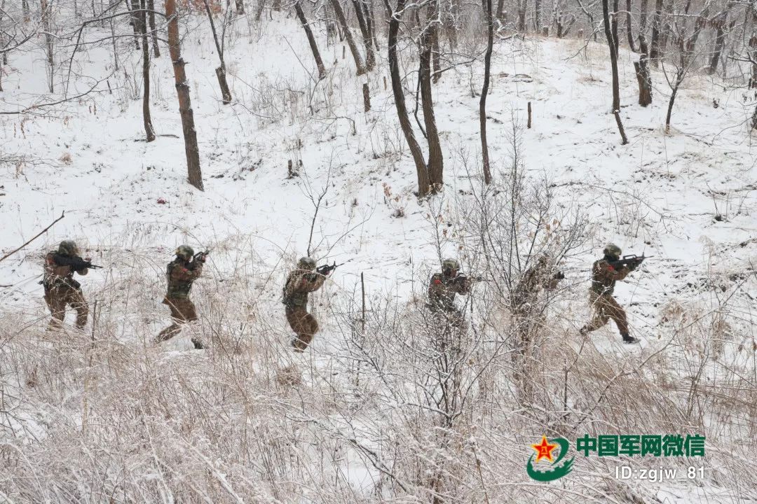 你在艳阳里享受春天，我在白雪中守护着你