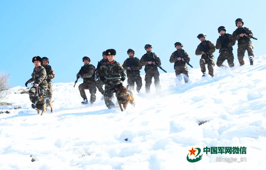 你在艳阳里享受春天，我在白雪中守护着你