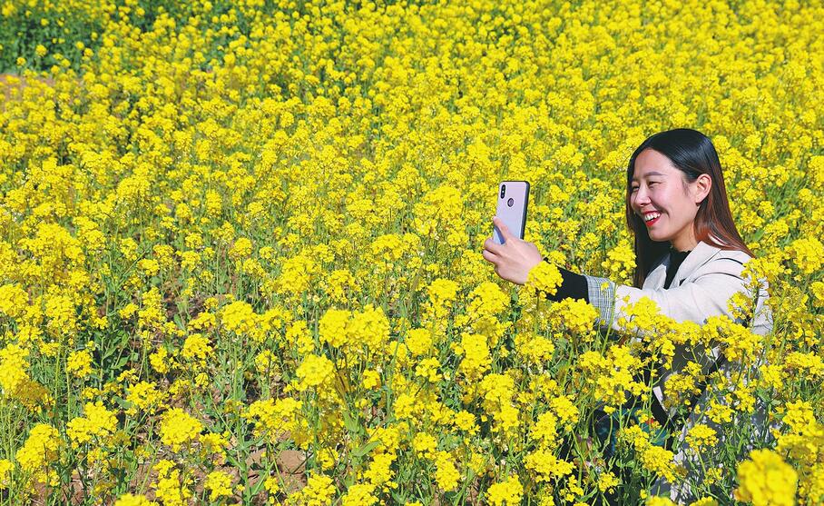 【坚持新发展理念 打赢三大攻坚战】平阴油菜花海令游客流连忘返