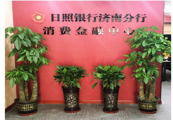 日照银行济南分行消费金融中心成立 力推“阳光贷”解市民资金难题