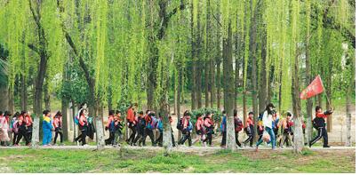 清明时节 寄托情思 各地举办文化活动润人心田