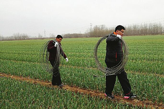 济南市老龄办选派驻商河许商街道毛王店村党支