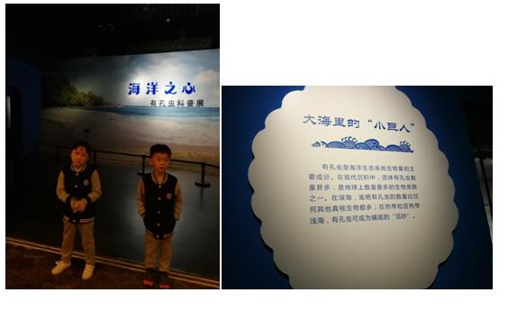 参观山东省博物馆“海洋之心——有孔虫科普展”活动