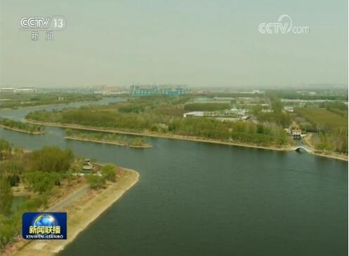 众人植树树成林——我国成为全球森林资源增长最多的国家