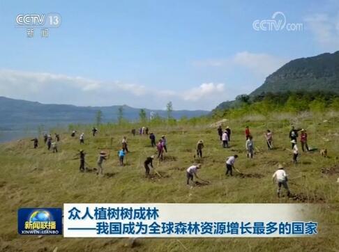 众人植树树成林——我国成为全球森林资源增长最多的国家